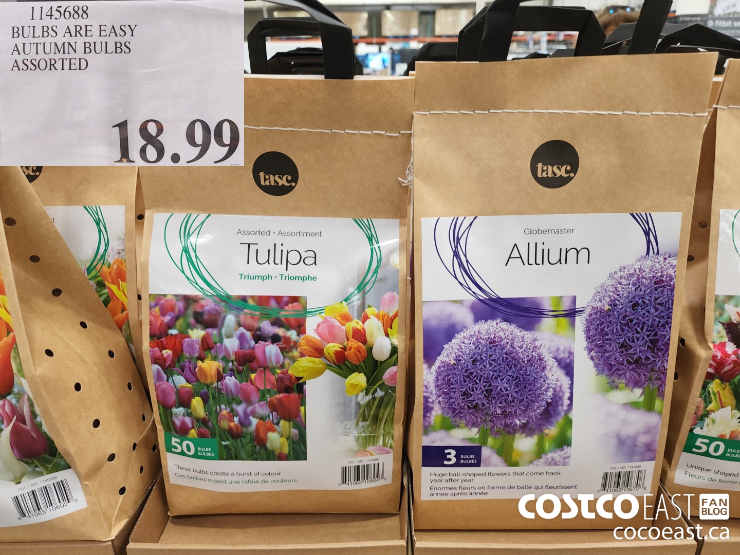 1145688 BULBS ARE EASY AUTUMN BULBS ASSORTED 16 99 Costco East Fan Blog