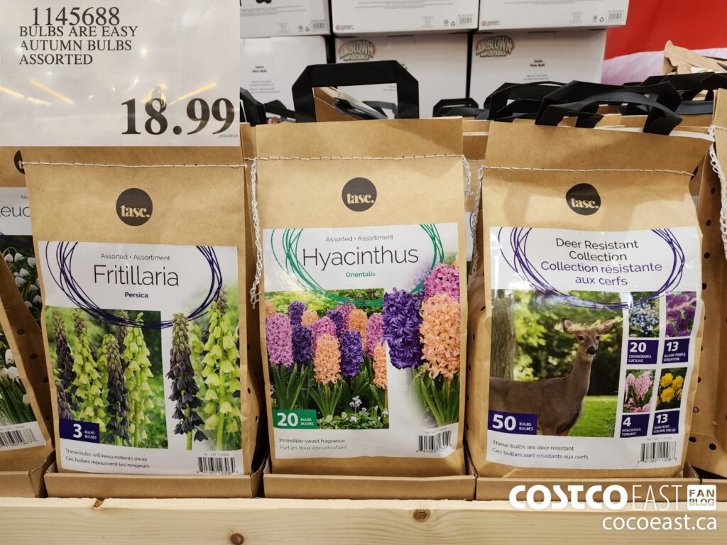 1145688 BULBS ARE EASY AUTUMN BULBS ASSORTED 18 99 - Costco East Fan Blog