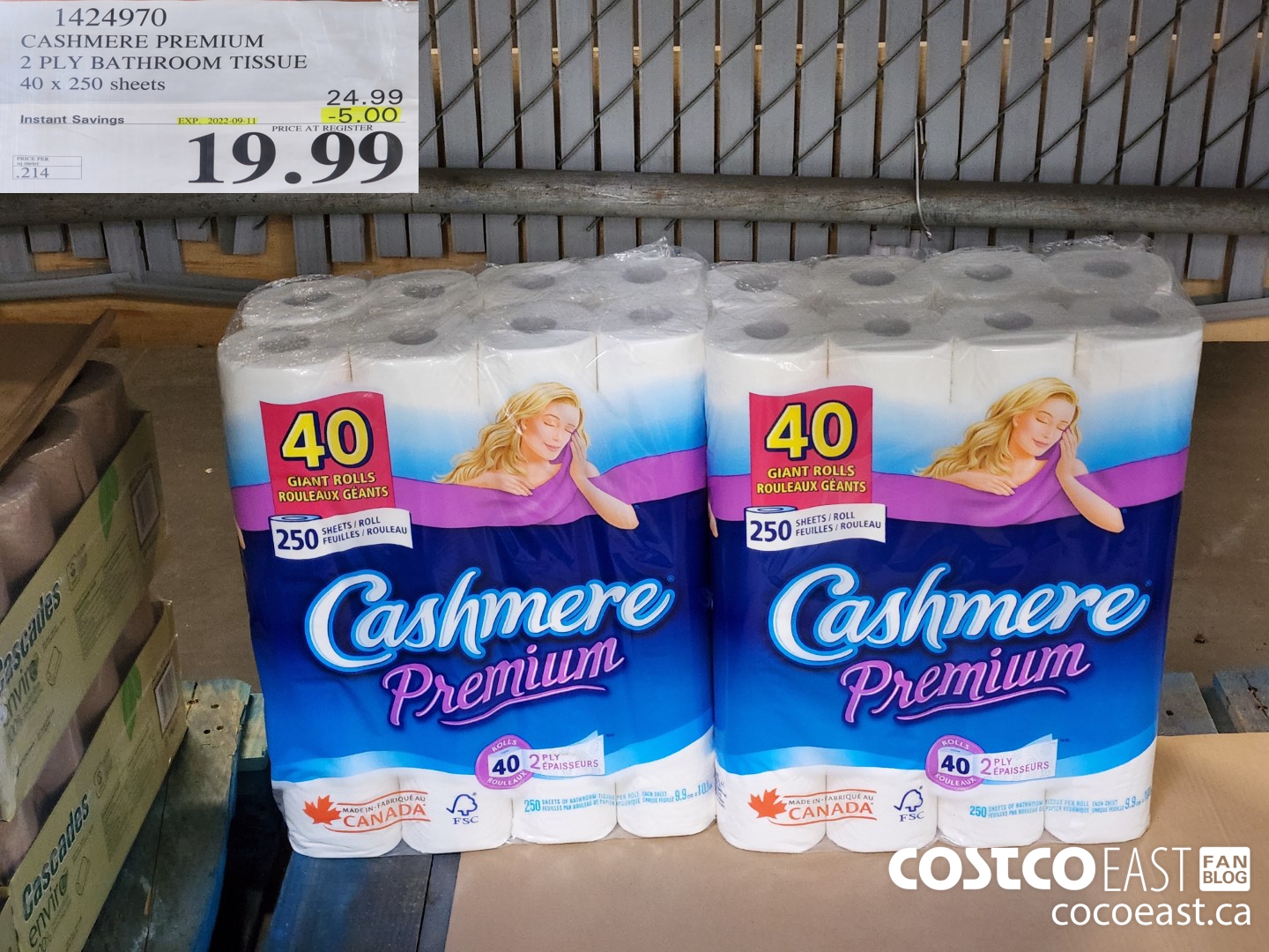 Cashmere costco clearance