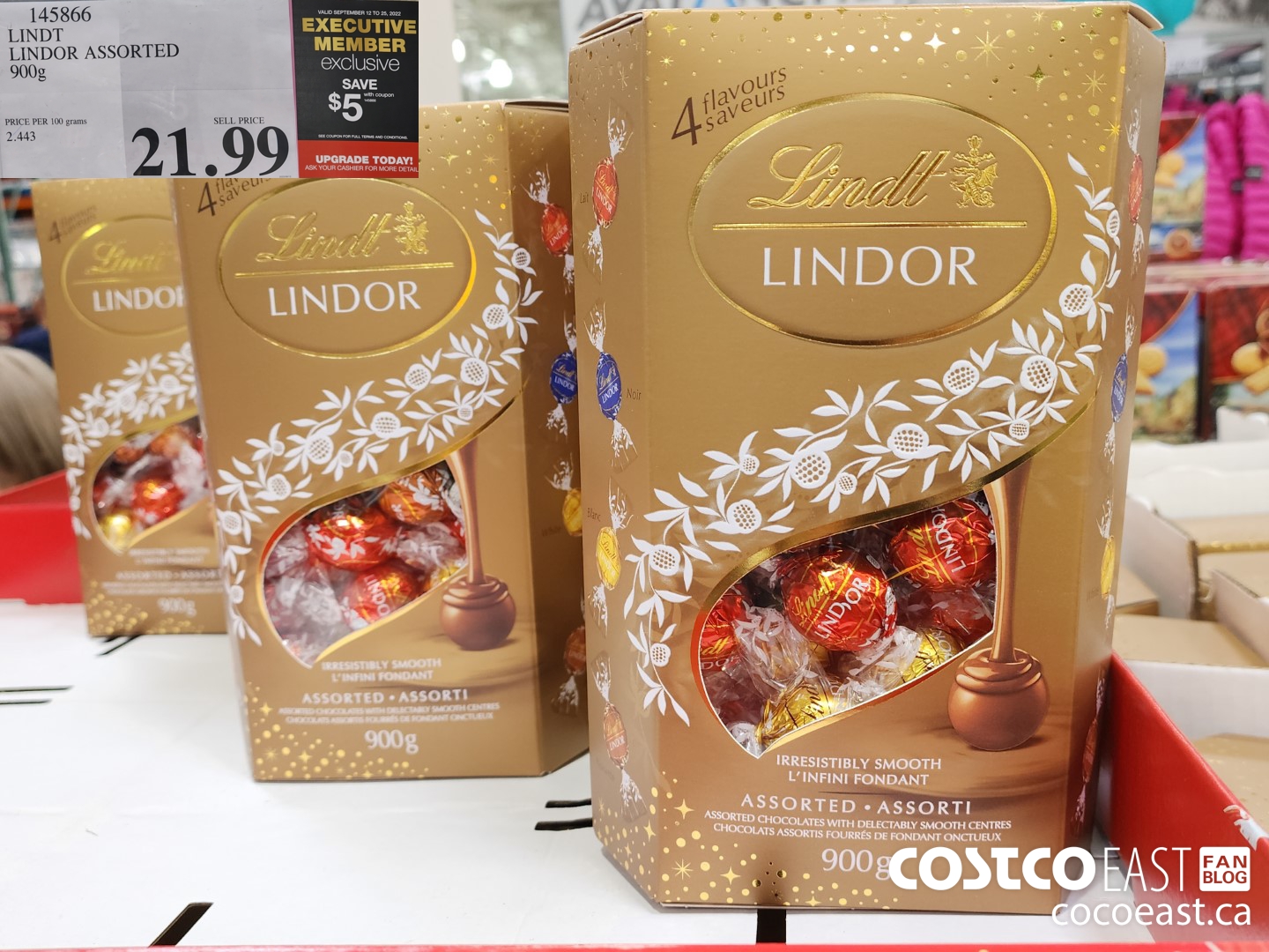 COLONISTA × NATAL DESIGN COMPE10 LINDOR COLONISTA × NATAL DESIGN