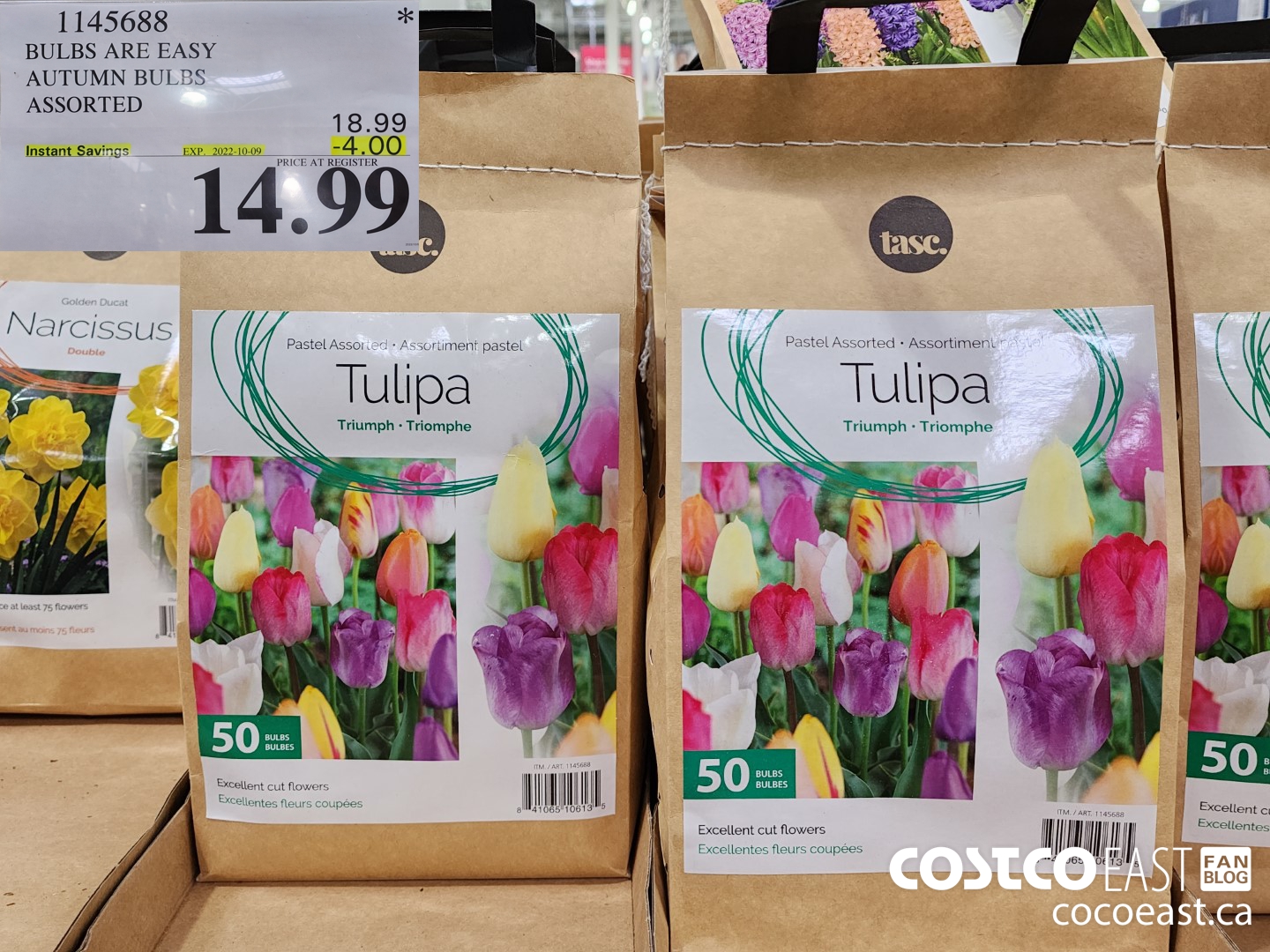 1145688 BULBS ARE EASY AUTUMN BULBS ASSORTED 4 00 INSTANT SAVINGS