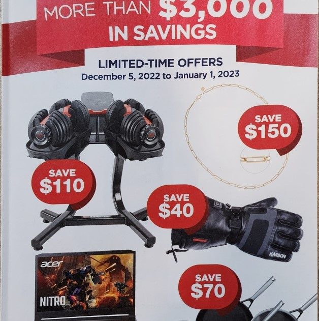 Natalie reviews Hilo Nacho Chips Review Costco East Fan Blog