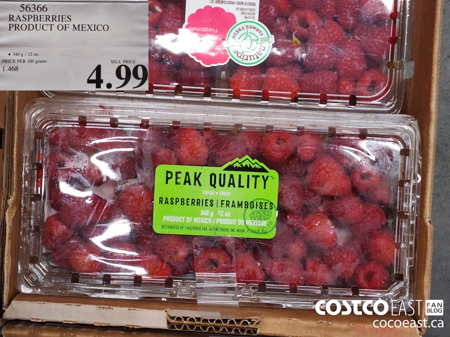56366 RASPBERRIES PRODUCT OF MEXICO 4 99 Costco East Fan Blog
