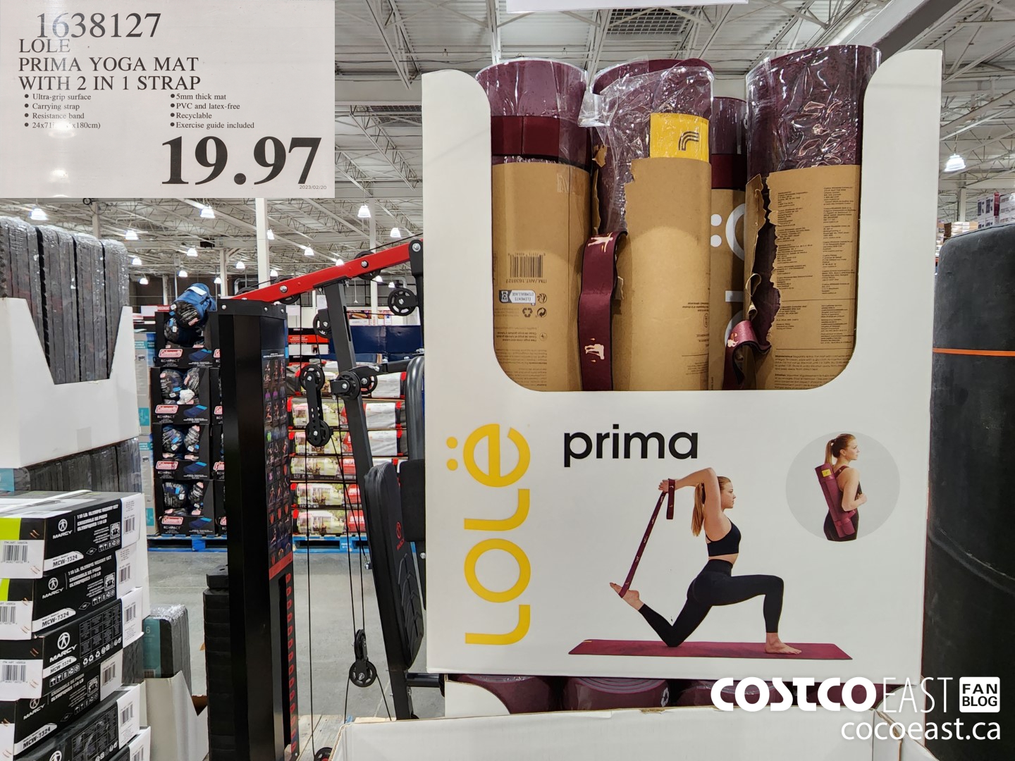 1638127 LOLE PRIMA YOGA MAT WITH 2 IN 1 STRAP 19 97 Costco East Fan Blog