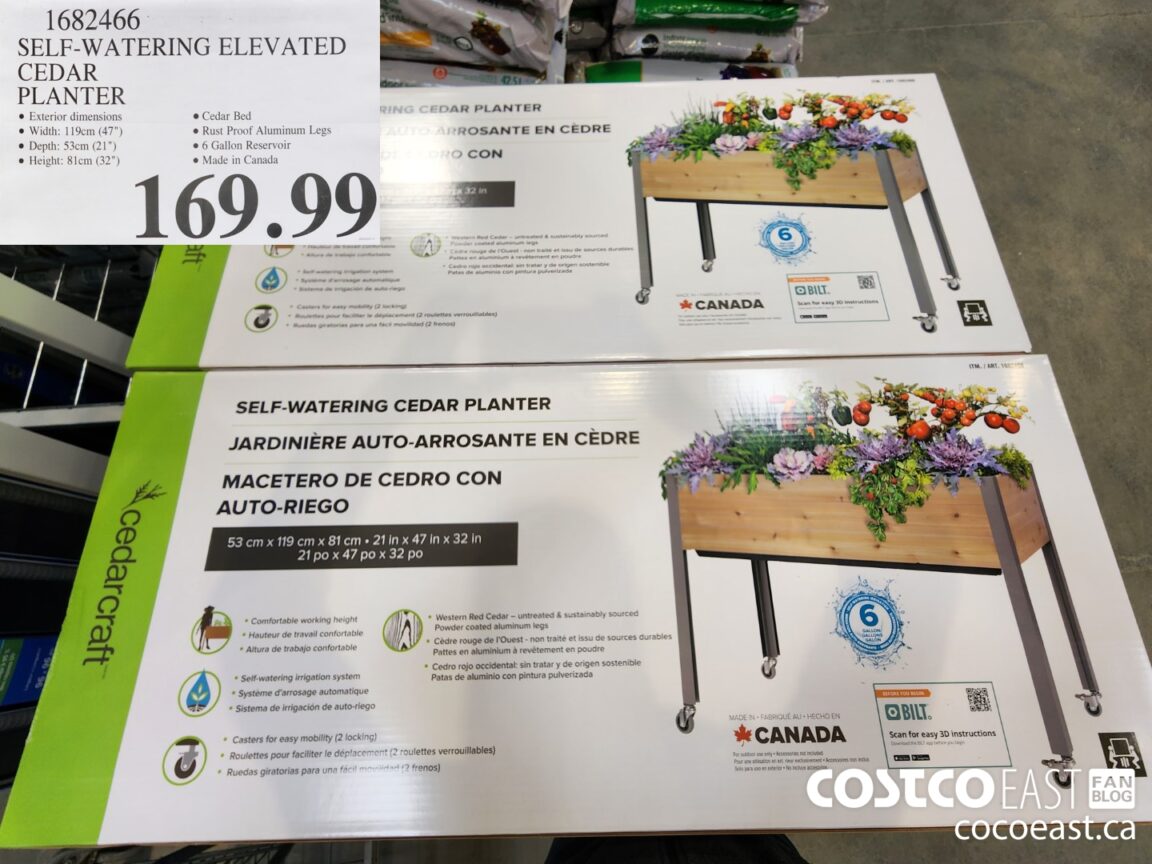 1682466 SELF WATERING ELEVATED CEDAR PLANTER 169 99 Costco East Fan Blog