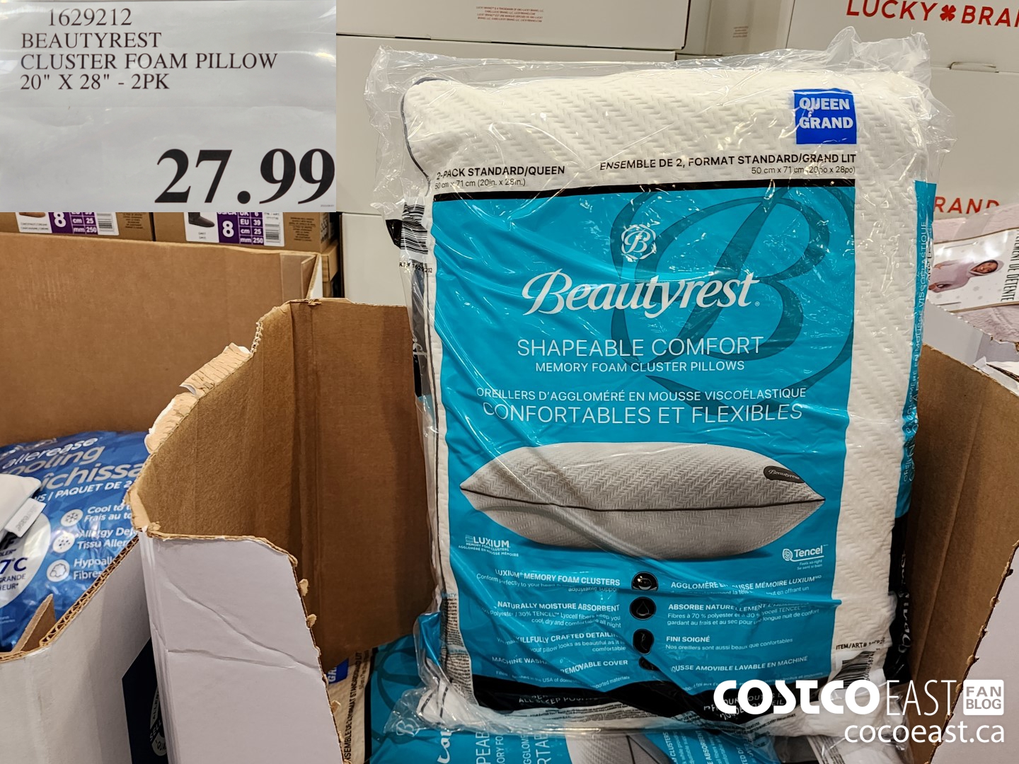 Beautyrest platinum pillows costco hotsell