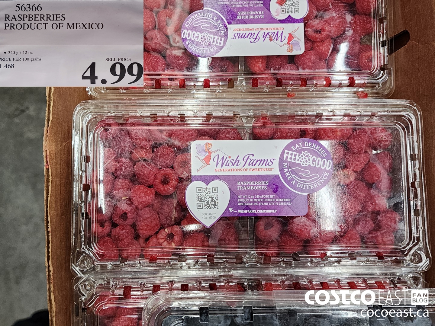 56366 RASPBERRIES PRODUCT OF MEXICO 4 99 Costco East Fan Blog