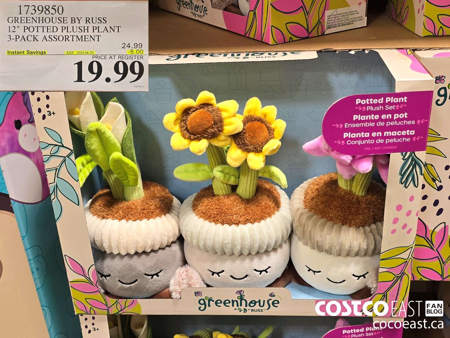 1739850 GREENHOUSE BY RUSS 12 POTTED PLUSH PLANT 3 PACK ASSORTMENT 5 00  INSTANT SAVINGS EXPIRES ON 2024 06 23 19 99 - Costco East Fan Blog
