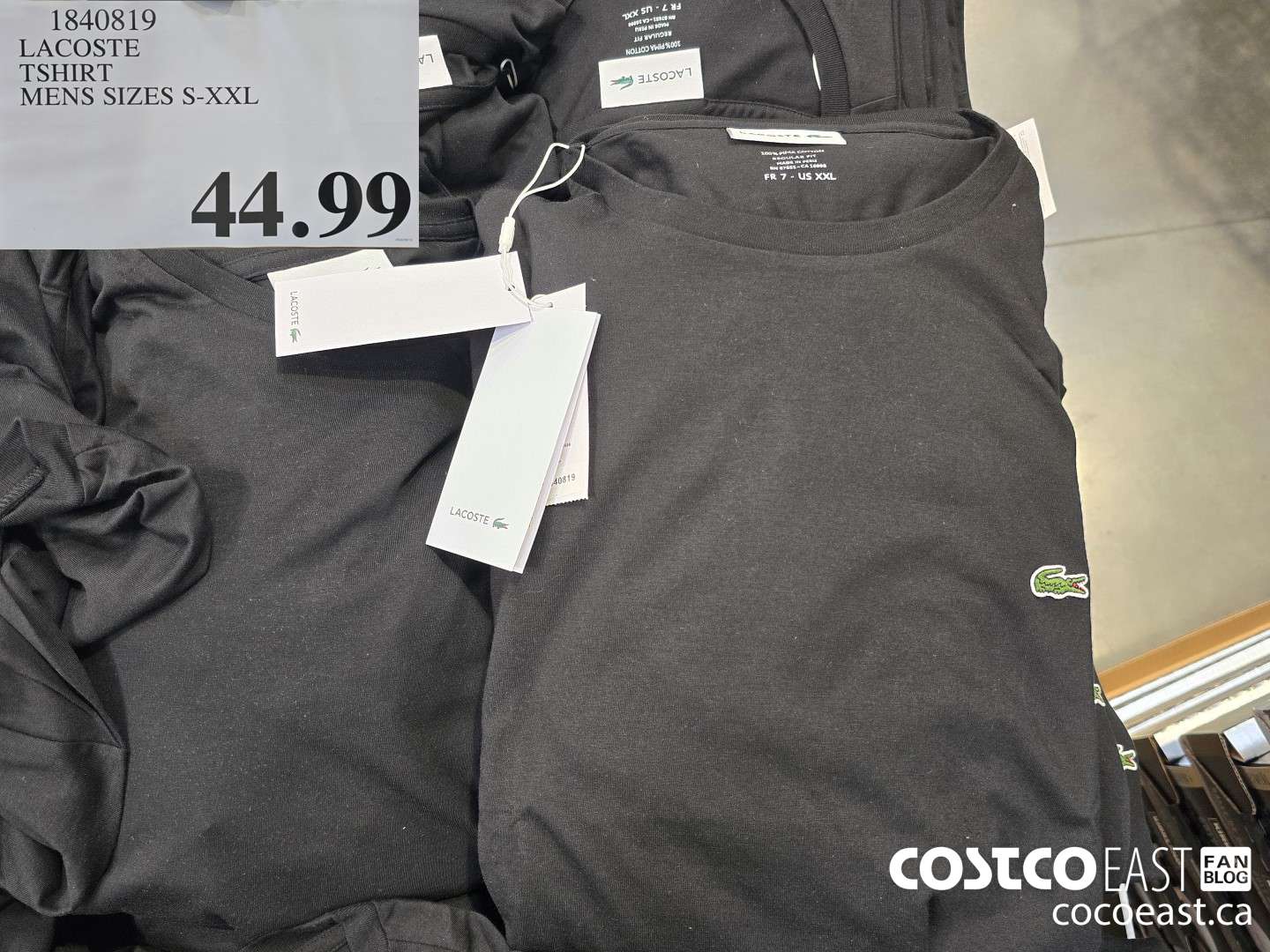 1840819 LACOSTE TSHIRT MENS SIZES S XXL 44 99 Costco East Fan Blog