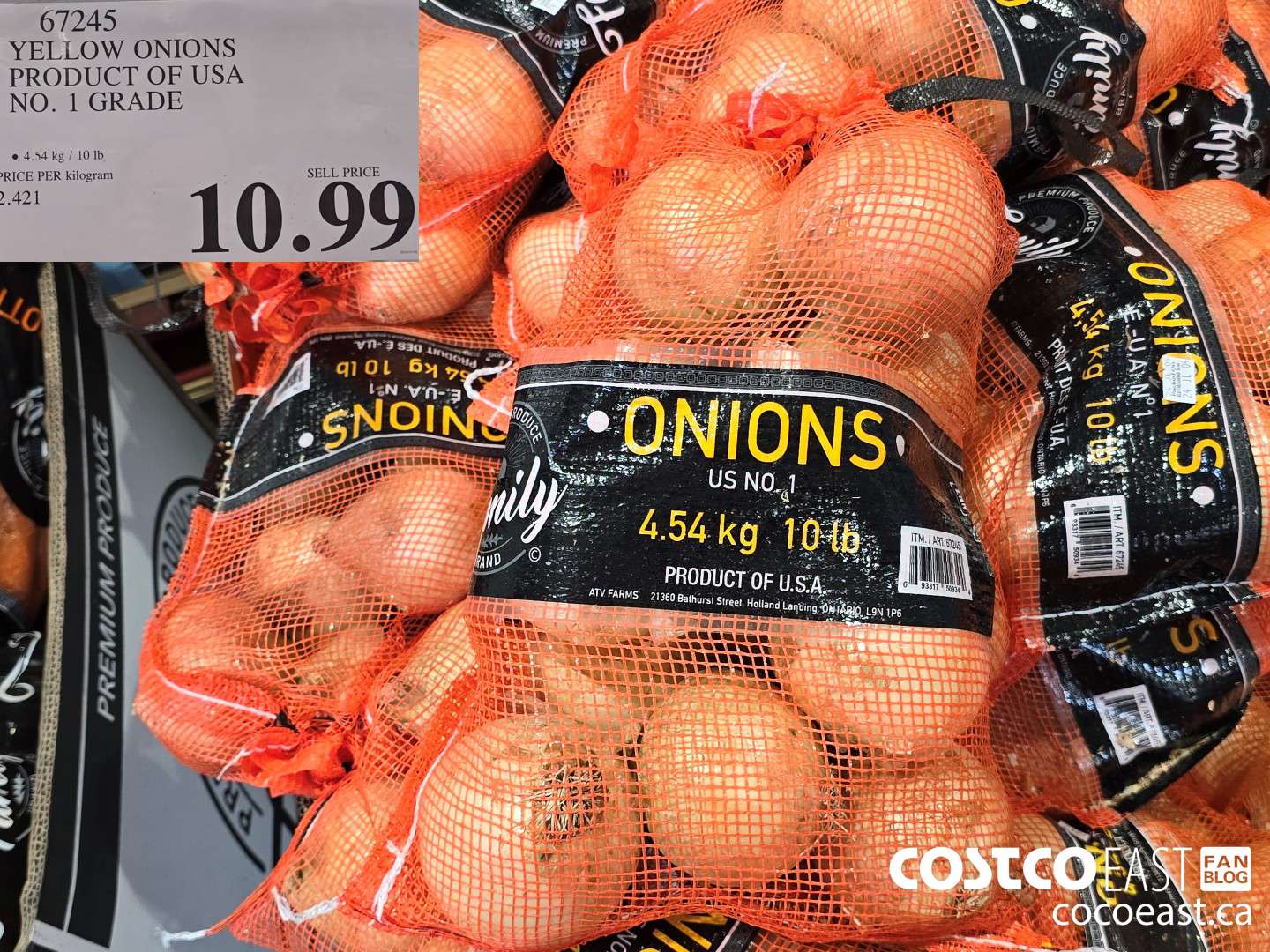 67245 YELLOW ONIONS PRODUCT OF USA NO 1 GRADE 10 99 - Costco East