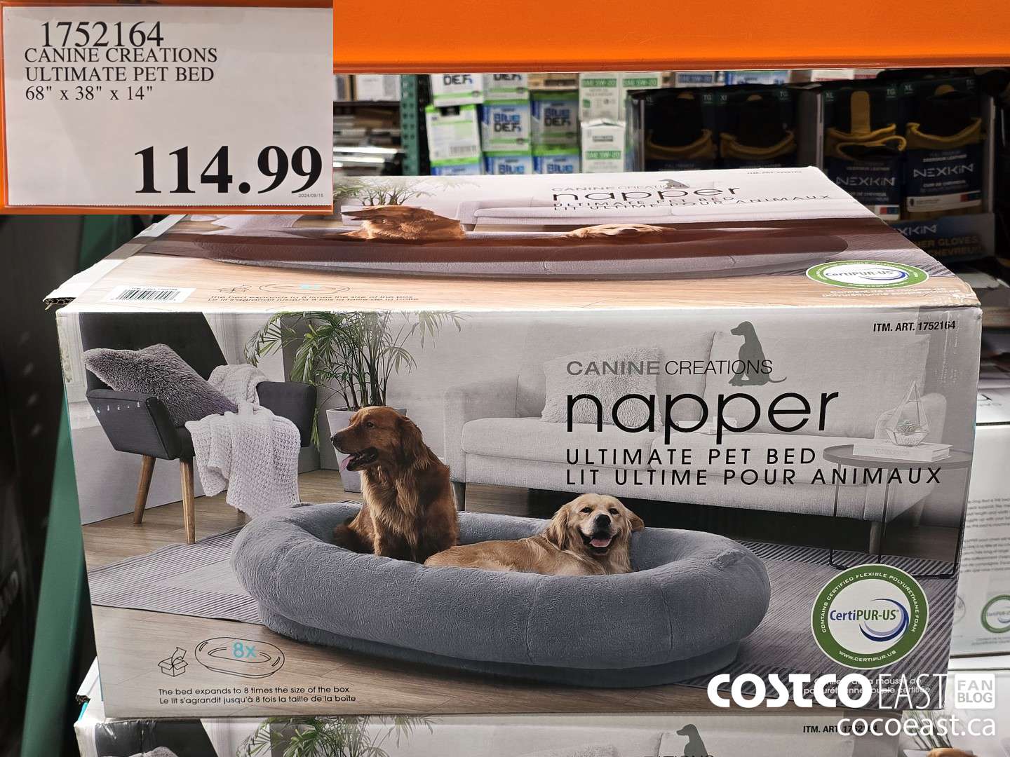 1752164 CANINE CREATIONS ULTIMATE PET BED 68 X 38 X 14 114 99 Costco East Fan Blog