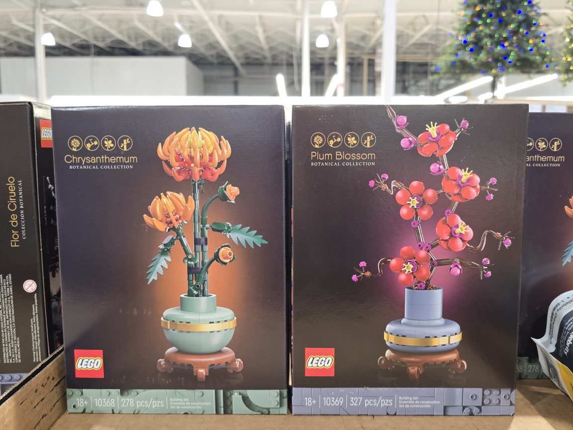 20241101_183646 Costco East Fan Blog