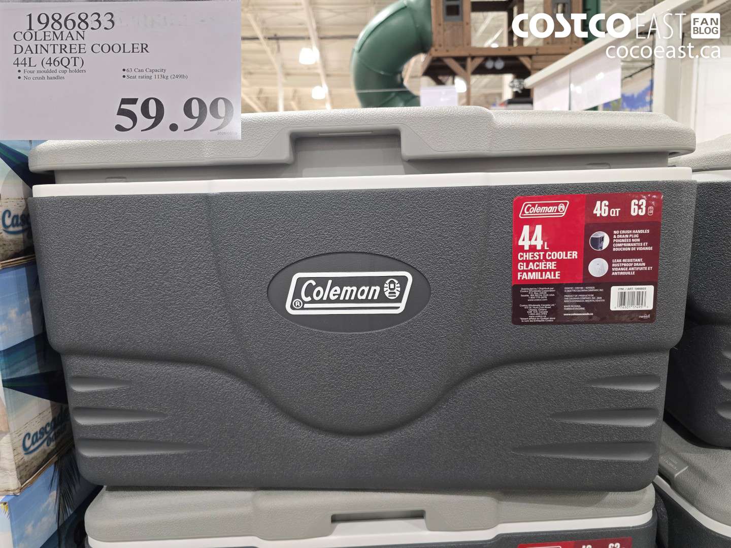 コールマン 1986833 COLEMAN DAINTREE COOLER 44L 46QT 59 99 - Costco East Fan Blog