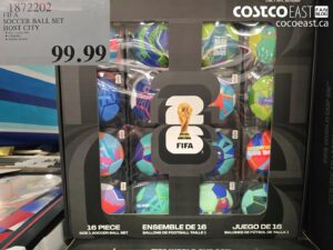 1872202 FIFA SOCCER BALL SET HOST CITY $99.99