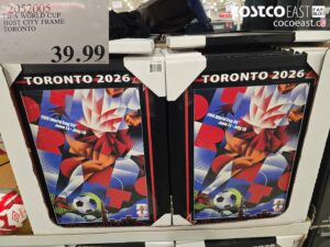 2052005 FIFA WORLD CUP HOST CITY FRAME TORONTO $39.99