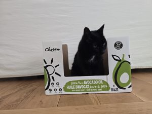Cats