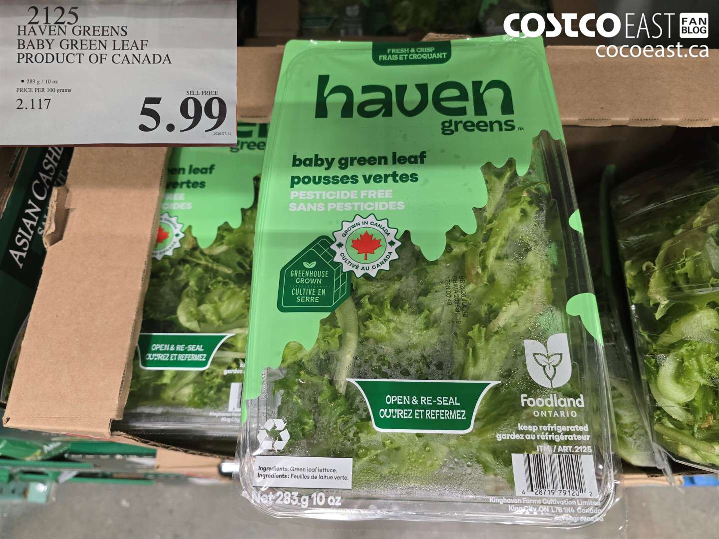 HAVEN GREENS BABY GREEN LEAF PRODUCT OF CANADA