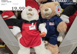 COSTCO TEDDY BEAR